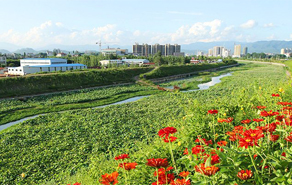 垃圾填埋厂生态修复